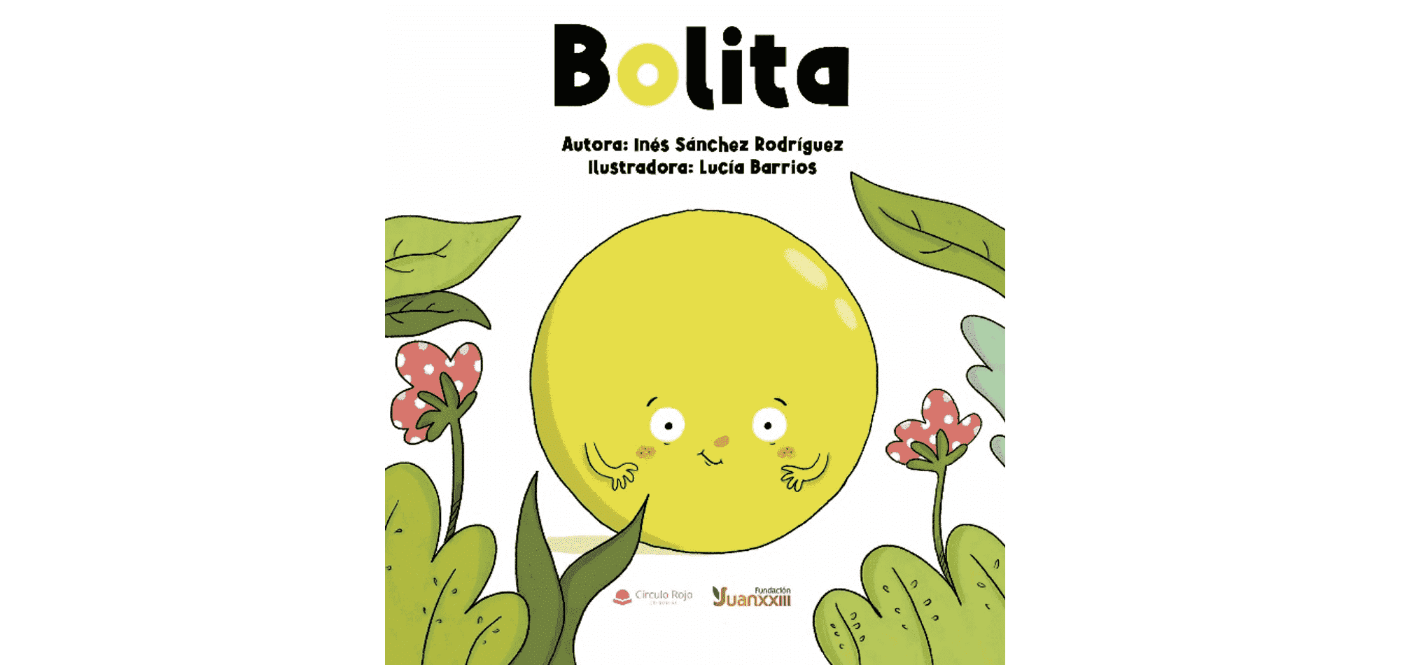 Bolita, un libro infantil que promueve la inclusión la diversidad y el respeto