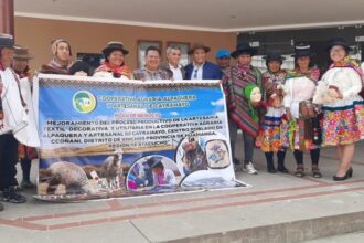Comuneros de Ayacucho apuestan por nuevos mercados tras obtener importante financiamiento de PROCOMPITE 
