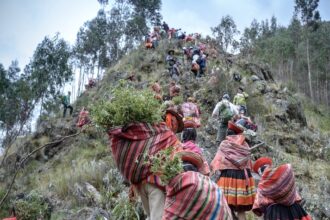 Comunidades de Cusco y Apurímac restauran los Andes del Perú