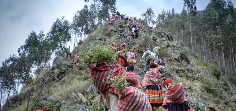 Comunidades de Cusco y Apurímac restauran los Andes del Perú