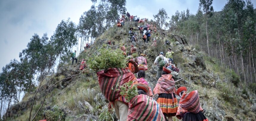 Comunidades de Cusco y Apurímac restauran los Andes del Perú