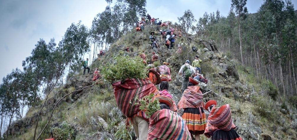 Comunidades de Cusco y Apurímac restauran los Andes del Perú