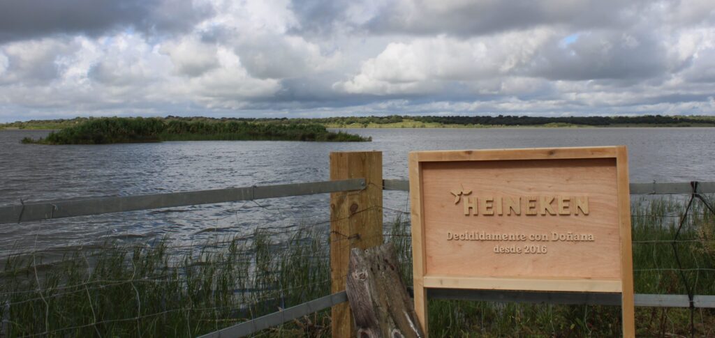 Restauración y regeneración de HEINEKEN en Doñana
