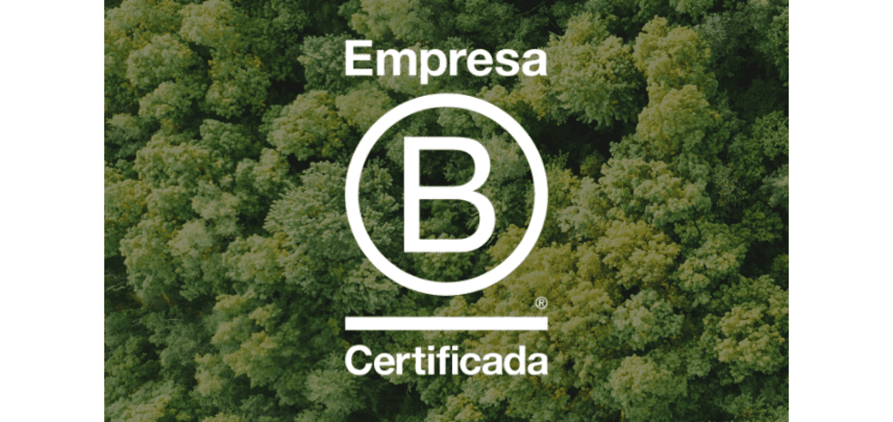 Mes de las Empresas B: en Argentina ya son 248 las compañías certificadas por su triple impacto positivo