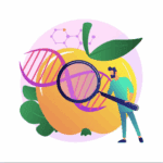 Imagen de Stock (vectorjuice en Freepik.es)