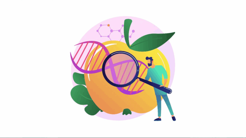 Imagen de Stock (vectorjuice en Freepik.es)