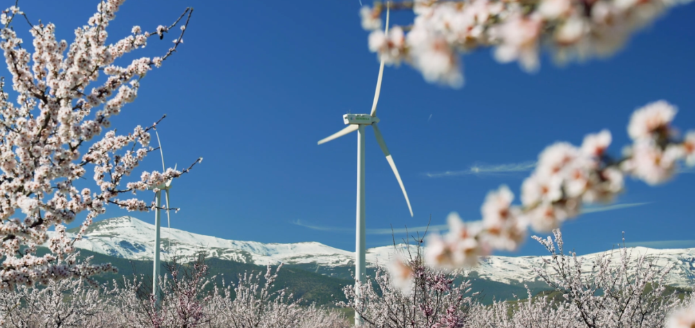 Parque eólico de Iberdrola en primavera