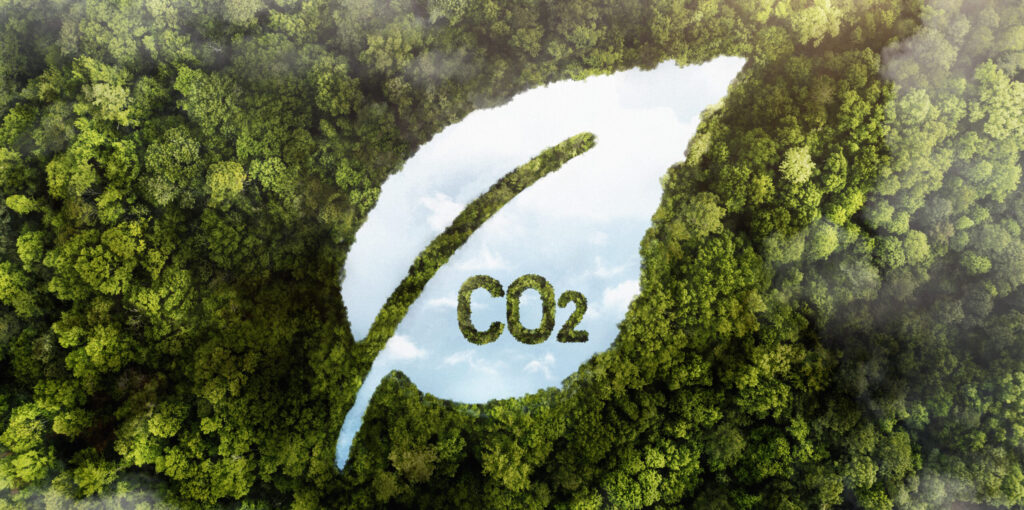 Compensación de la Huella de Carbono - Imagen de Stock (Freepik.es)