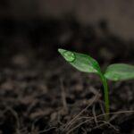 España ha entrado en déficit ecológico el 23 de mayo: agotó los recursos naturales del año y necesita 2,6 planetas para sostener su estilo de vida actual - Imagen cedida por EALDE Business School