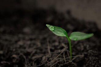 España ha entrado en déficit ecológico el 23 de mayo: agotó los recursos naturales del año y necesita 2,6 planetas para sostener su estilo de vida actual - Imagen cedida por EALDE Business School