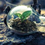 Prados de Paraíso refuerza su compromiso con la naturaleza en el Global Big Day 2025