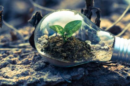 Prados de Paraíso refuerza su compromiso con la naturaleza en el Global Big Day 2025