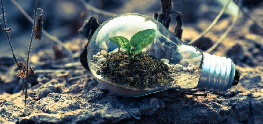 Prados de Paraíso refuerza su compromiso con la naturaleza en el Global Big Day 2025