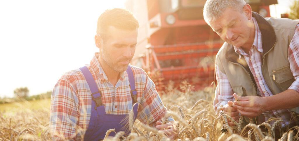 Agricultura regenerativa y sostenible, nueva apuesta de Mondelēz en España y Europa