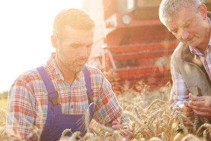 Agricultura regenerativa y sostenible, nueva apuesta de Mondelēz en España y Europa