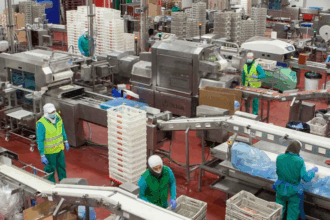 Interior de la fábrica de Emcesa