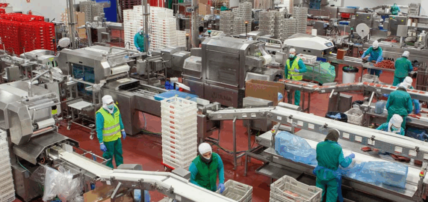 Interior de la fábrica de Emcesa