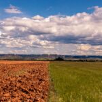 60 mil millones de euros en riesgo catastrófico para la agricultura de la UE debido a la sequía y el cambio climático, que puede aumentar a 90 mil millones para 2050 (Imagen de Stock - wirestock en Freepik.es)