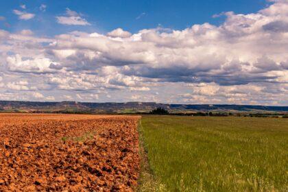 60 mil millones de euros en riesgo catastrófico para la agricultura de la UE debido a la sequía y el cambio climático, que puede aumentar a 90 mil millones para 2050 (Imagen de Stock - wirestock en Freepik.es)