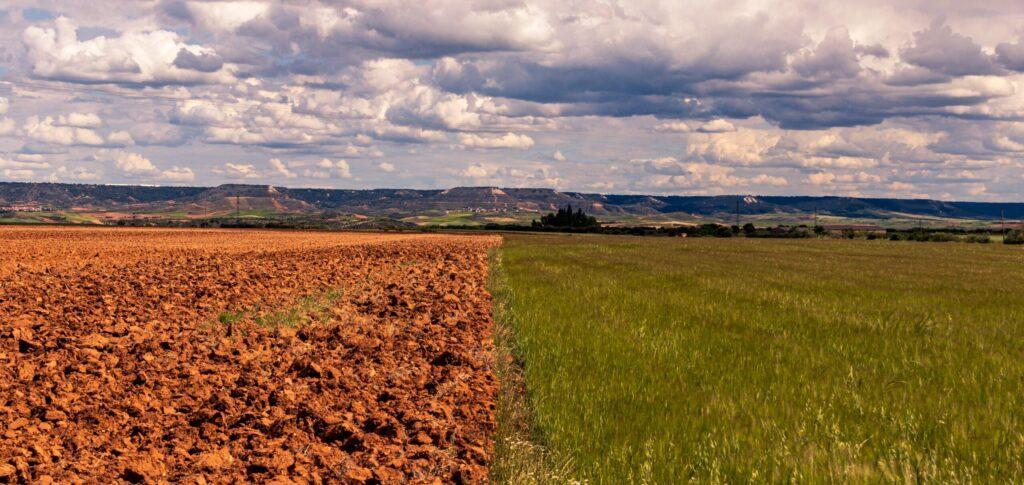 60 mil millones de euros en riesgo catastrófico para la agricultura de la UE debido a la sequía y el cambio climático, que puede aumentar a 90 mil millones para 2050 (Imagen de Stock - wirestock en Freepik.es)