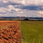 60 mil millones de euros en riesgo catastrófico para la agricultura de la UE debido a la sequía y el cambio climático, que puede aumentar a 90 mil millones para 2050 (Imagen de Stock - wirestock en Freepik.es)