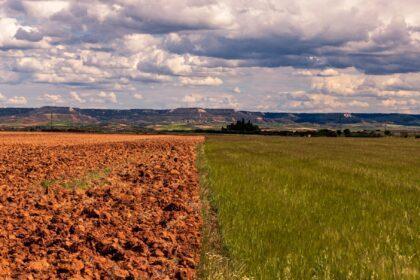 60 mil millones de euros en riesgo catastrófico para la agricultura de la UE debido a la sequía y el cambio climático, que puede aumentar a 90 mil millones para 2050 (Imagen de Stock - wirestock en Freepik.es)