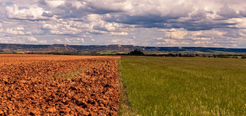 60 mil millones de euros en riesgo catastrófico para la agricultura de la UE debido a la sequía y el cambio climático, que puede aumentar a 90 mil millones para 2050 (Imagen de Stock - wirestock en Freepik.es)