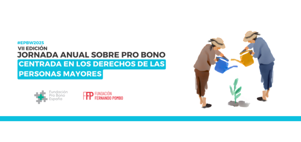VII Jornada Anual Pro Bono