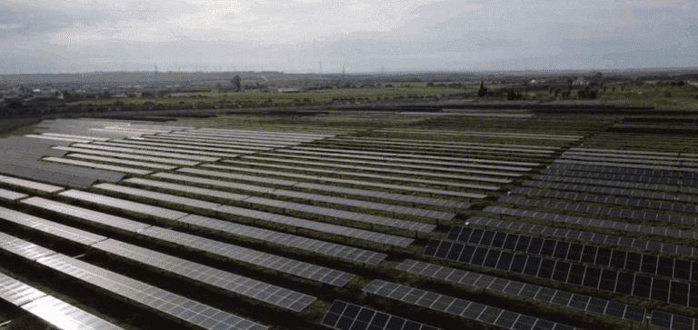 Planta fotovoltaica ‘Colón’ (Huelva)