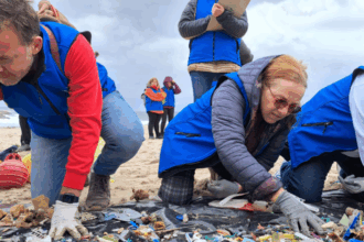 Recogida de basura marina en las playas de Burela
