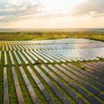 Agroindustria reduce en más de 15% su consumo energético con nuevas soluciones energéticas