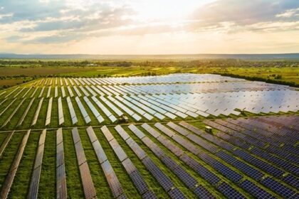 Agroindustria reduce en más de 15% su consumo energético con nuevas soluciones energéticas