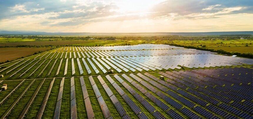 Agroindustria reduce en más de 15% su consumo energético con nuevas soluciones energéticas