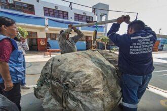 Chincha construye su destino gracias al reciclaje
