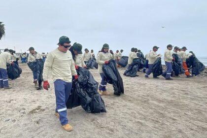Exitosa jornada de limpieza en la playa Lobería de Pisco