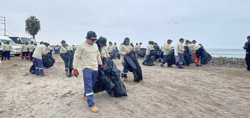 Exitosa jornada de limpieza en la playa Lobería de Pisco