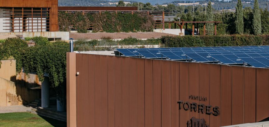 Placas solares en las bodegas de Familia Torres para reducir las emisiones de CO2