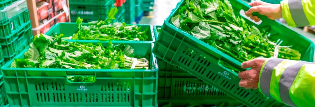 Cajas reutilizables, compromiso con la Sostenibilidad Ambiental en Gadis