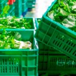 Cajas reutilizables, compromiso con la Sostenibilidad Ambiental en Gadis
