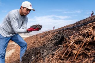 Hortifrut Perú contribuye con el cuidado del medio ambiente de las comunidades de Chao