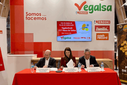 Esta cifra supone que el 60% del volumen total de comercialización de patata amparada bajo la Indicación Geográfica Protegida (IGP) Pataca de Galicia que se vende en la comunidad gallega fue adquirida en establecimientos Eroski, Autoservicios Familia y Cash Record, posicionando a Vegalsa Eroski como la principal distribuidora de este producto en Galicia