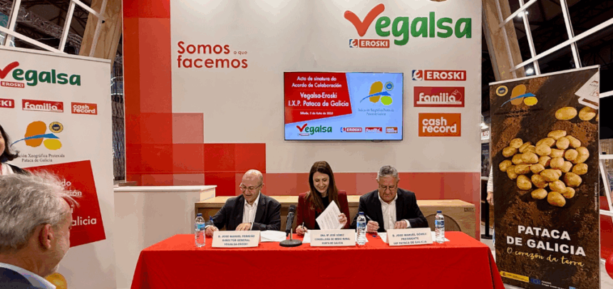 Esta cifra supone que el 60% del volumen total de comercialización de patata amparada bajo la Indicación Geográfica Protegida (IGP) Pataca de Galicia que se vende en la comunidad gallega fue adquirida en establecimientos Eroski, Autoservicios Familia y Cash Record, posicionando a Vegalsa Eroski como la principal distribuidora de este producto en Galicia