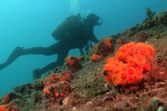 RIU refuerza su compromiso con la biodiversidad iniciando dos nuevas colaboraciones en Andalucía