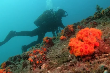 RIU refuerza su compromiso con la biodiversidad iniciando dos nuevas colaboraciones en Andalucía