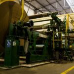 TRUPAL evita la tala de más de 1.5 millones de árboles gracias al reciclaje de cartón