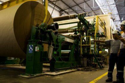 TRUPAL evita la tala de más de 1.5 millones de árboles gracias al reciclaje de cartón