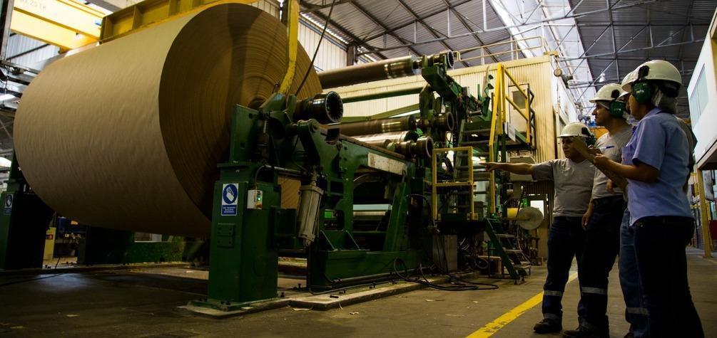 TRUPAL evita la tala de más de 1.5 millones de árboles gracias al reciclaje de cartón