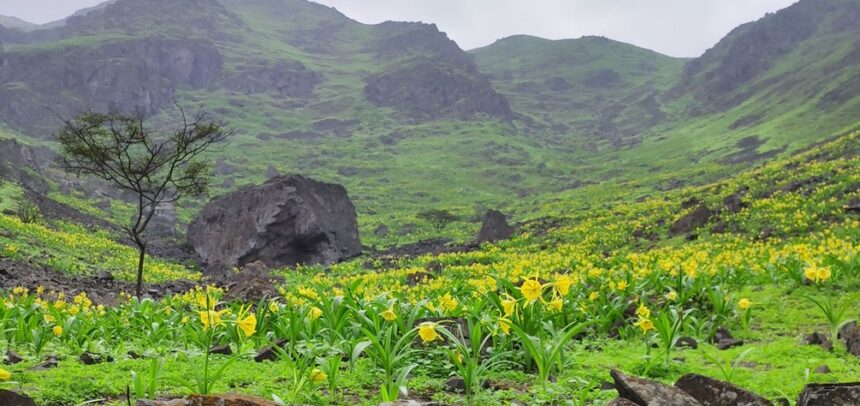 UNACEM recibe la Cuarta Estrella del Programa Huella de Carbono Perú por su compromiso sostenible