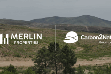Bosque Merlin