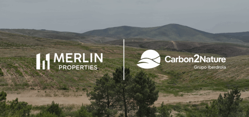 Bosque Merlin